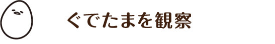 ぐでたまを観察