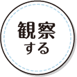観察する