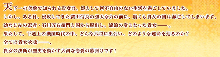 天下一の美貌で知られる貴女は、姫として何不自由のない生活を過ごしていました。
しかし、ある日、侵攻してきた織田信長の強大な力の前に、脆くも貴女の国は滅亡してしまいます。
幼なじみの忍者・石川五右衛門と国から脱出し、流浪の身となった貴女―。
果たして、下剋上の戦国時代の中、どんな武将に出会い、どのような運命を辿るのか？
全ては貴女次第―、
貴女の決断が歴史を動かす大河な恋愛の幕開けです！