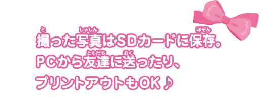 撮った写真はＳＤカードに保存。ＰＣから友達に送ったり、プリントアウトもＯＫ♪